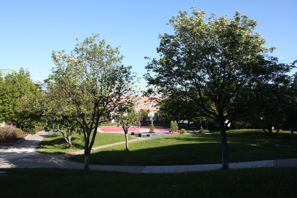 Memorial University St. John's Exteriér fotografie