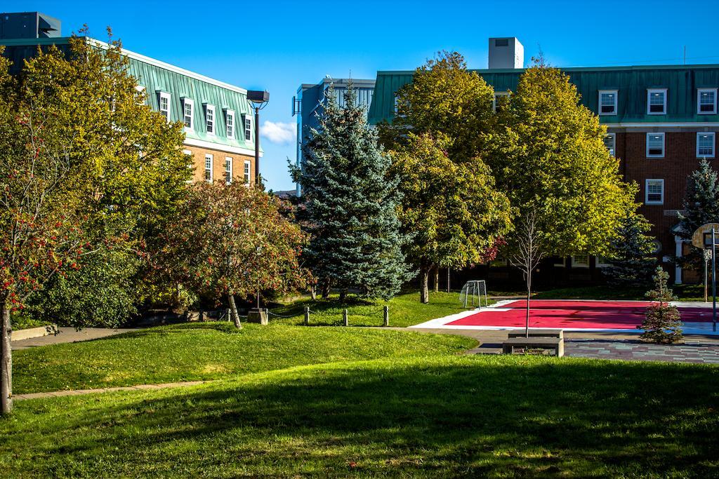 Memorial University St. John's Exteriér fotografie